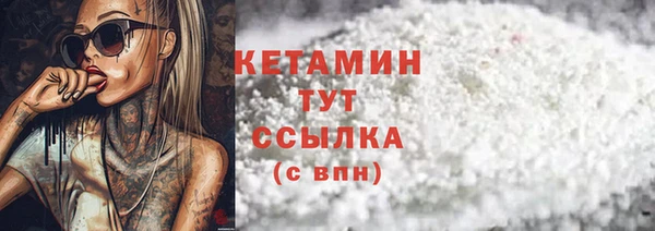 стаф Новокубанск