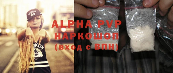 стаф Новокубанск