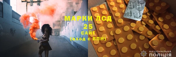 стаф Новокубанск