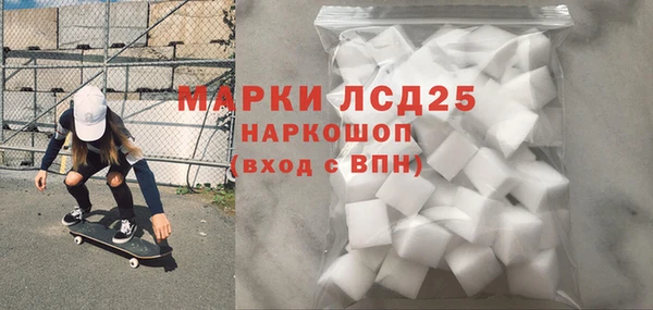 стаф Новокубанск