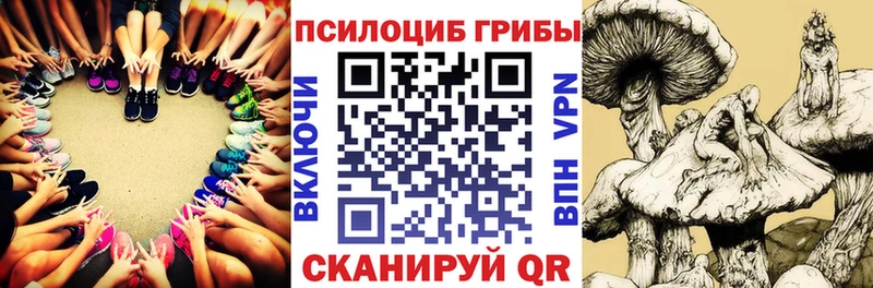 Галлюциногенные грибы GOLDEN TEACHER  Заволжье 