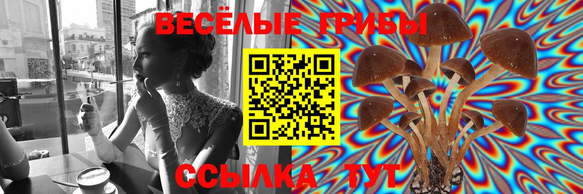 Псилоцибиновые грибы мицелий Заволжье