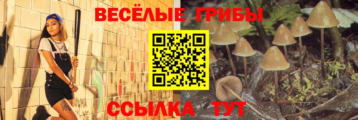 Псилоцибиновые грибы Cubensis Заволжье